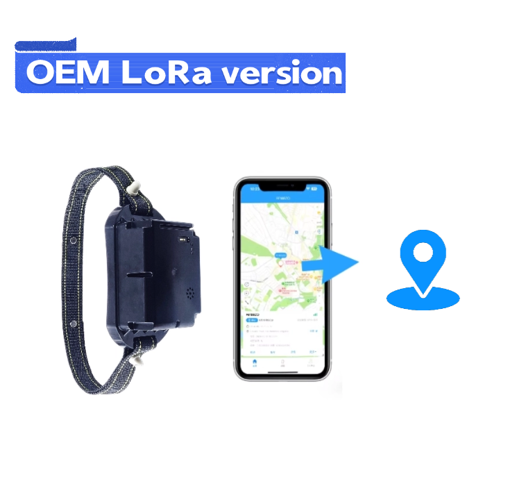 LoRa GPS device